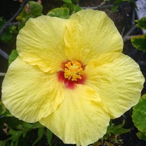 Meet your Posher, Kirsten